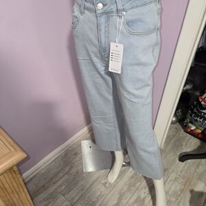 Chic Light Blue Cropped Jeans